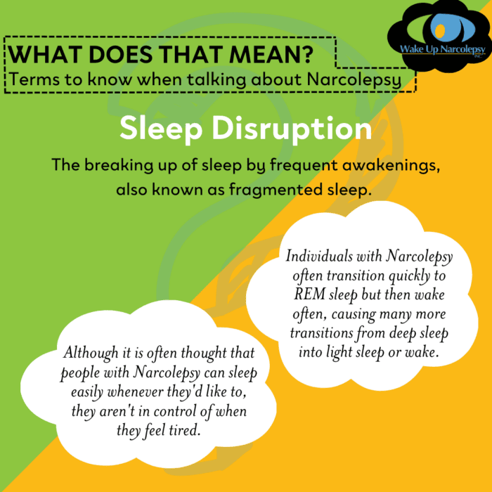 Sleep Disruption - The breaking up of sleep by frequent awakenings, also known as fragmented sleep