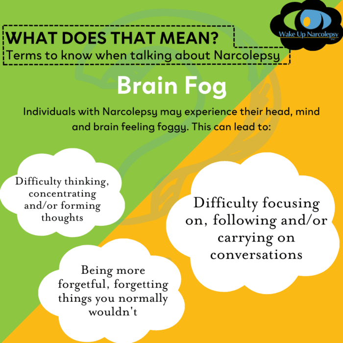 What Does That Mean? terms to know when talking about narcolepsy. Brain Fog - Individuals with Narcolepsy may experience their head, mind and body feeling foggy. This can lead to: difficulty thinking, concentrating and/or forming thoughts, difficulty focusing on, following and/or carrying on conversations, being more forgetful, forgetting things you normally wouldn't.