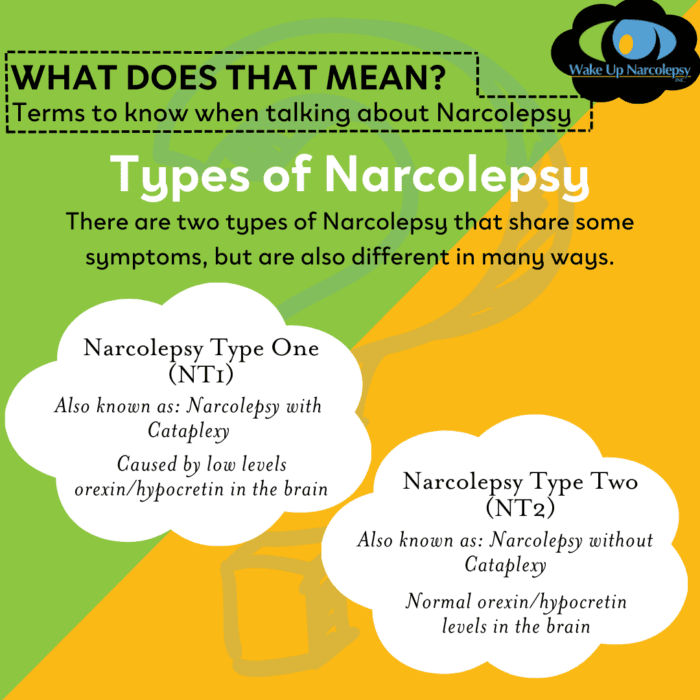 What Does That Mean? Terms to know when talking about Narcolepsy - Wake Up Narcolepsy - Types of Narcolepsy - There are two types of Narcolepsy that share some symptoms, but are also different in many ways. Narcolepsy Type One (NT1) Also known as: Narcolepsy with Cataplexy - Caused by low levels of orexin/hypocretin in the brain, Narcolepsy Type Two (NT2) Also known as: Narcolepsy without Cataplexy - Normal orexin/hypocretin levels in the brain