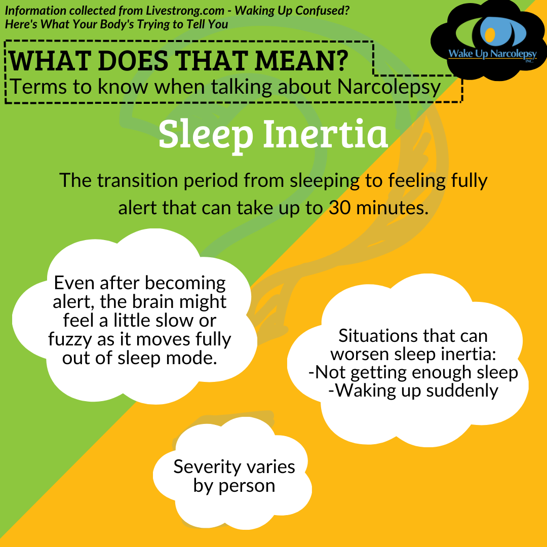 What Does That Mean? - Terms to know when talking about Narcolepsy - Sleep Inertia - The transition period from sleeping to feeling fully alert that can take up to 30 minutes - Info from livestrong.com - Wake Up Narcolepsy series